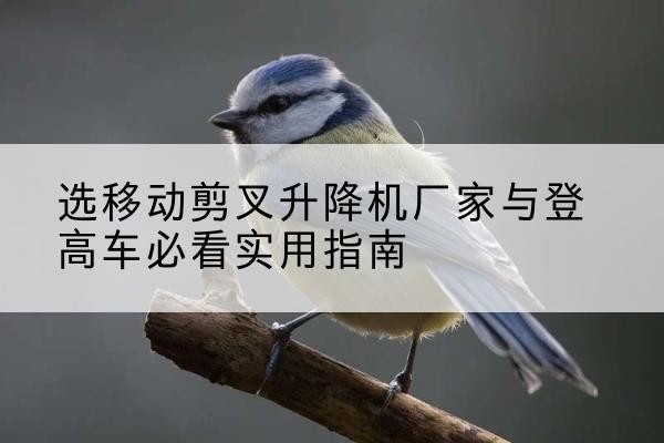 东兴电动升降机厂家-选移动剪叉升降机厂家与登高车必看实用指南