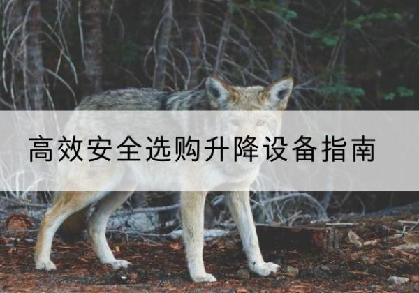 东兴升降货梯厂家推荐-*安全选购升降设备指南