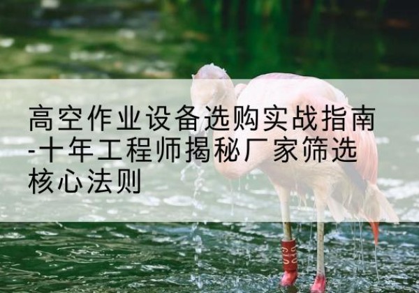 东兴剪叉式升降机厂家-高空作业设备选购实战指南-十年工程师揭秘厂家筛选核心法则